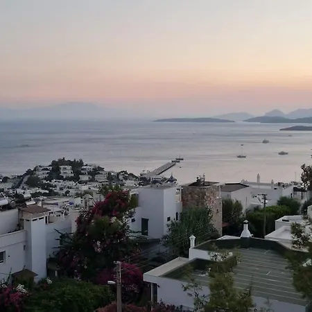 With Sea View & Pool Villa Bodrum